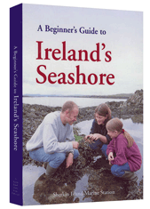 A beginners guide to Ireland's seashore pocket book at Dingle Oceanworld aquarium gift shop