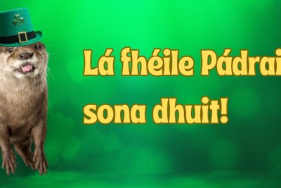 Going Green This St. Patrick’s Day – There is No Planet B