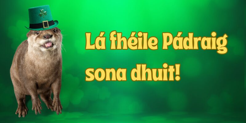 Going Green This St. Patrick’s Day – There is No Planet B