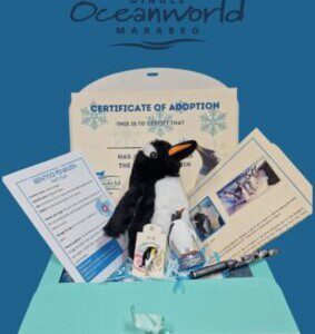 Penguin adoption at at Dingle Oceanworld Aquarium