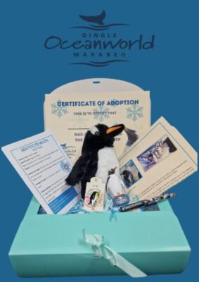 Penguin adoption at at Dingle Oceanworld Aquarium
