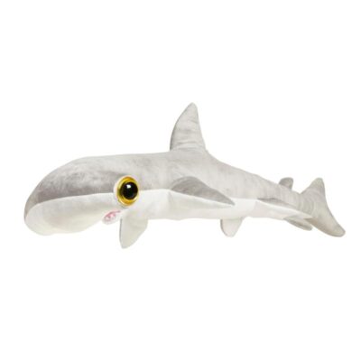 Hammerhead shark plush at Dingle Oceanworld aquarium gift shop