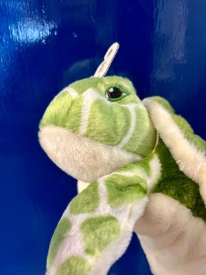 Re-pets turtle puppet at Dingle Oceanworld aquarium gift shop