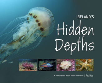 Ireland's Hidden Depths book at Dingle Oceanworld aquarium gift shop