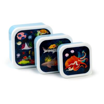 Lunch box set marine at Dingle Oceanworld Aquarium gift shop