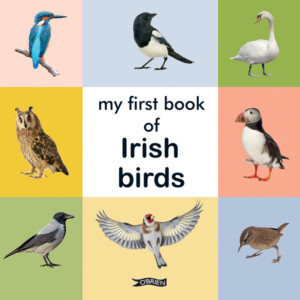 my first book of irish birds at Dingle Oceanworld Aquarium gift shop online