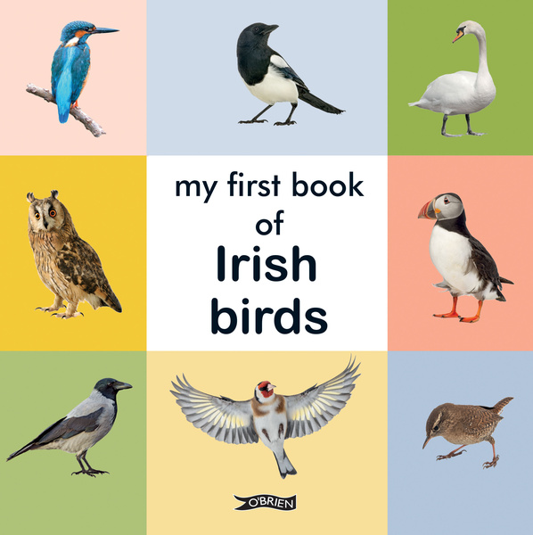 my first book of irish birds at Dingle Oceanworld Aquarium gift shop online