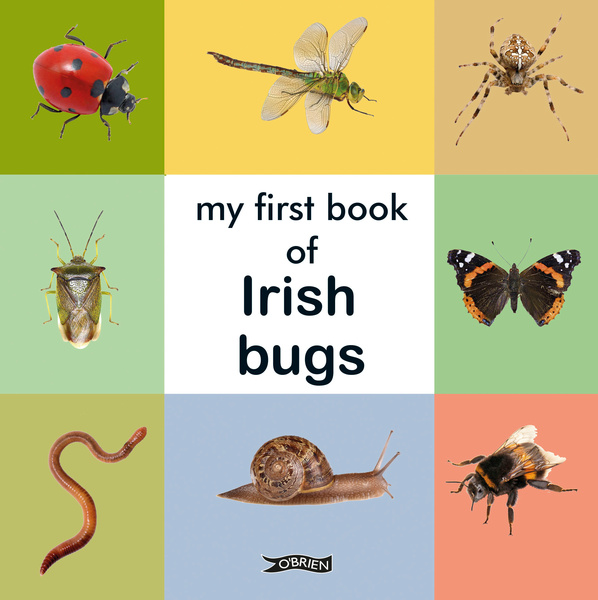 My First book of irish bugs Dingle Oceanworld Aquarium gift shop online