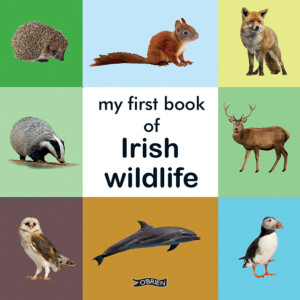 My first book of Irish wildlife at Dingle Oceanworld Aquarium gift shop online