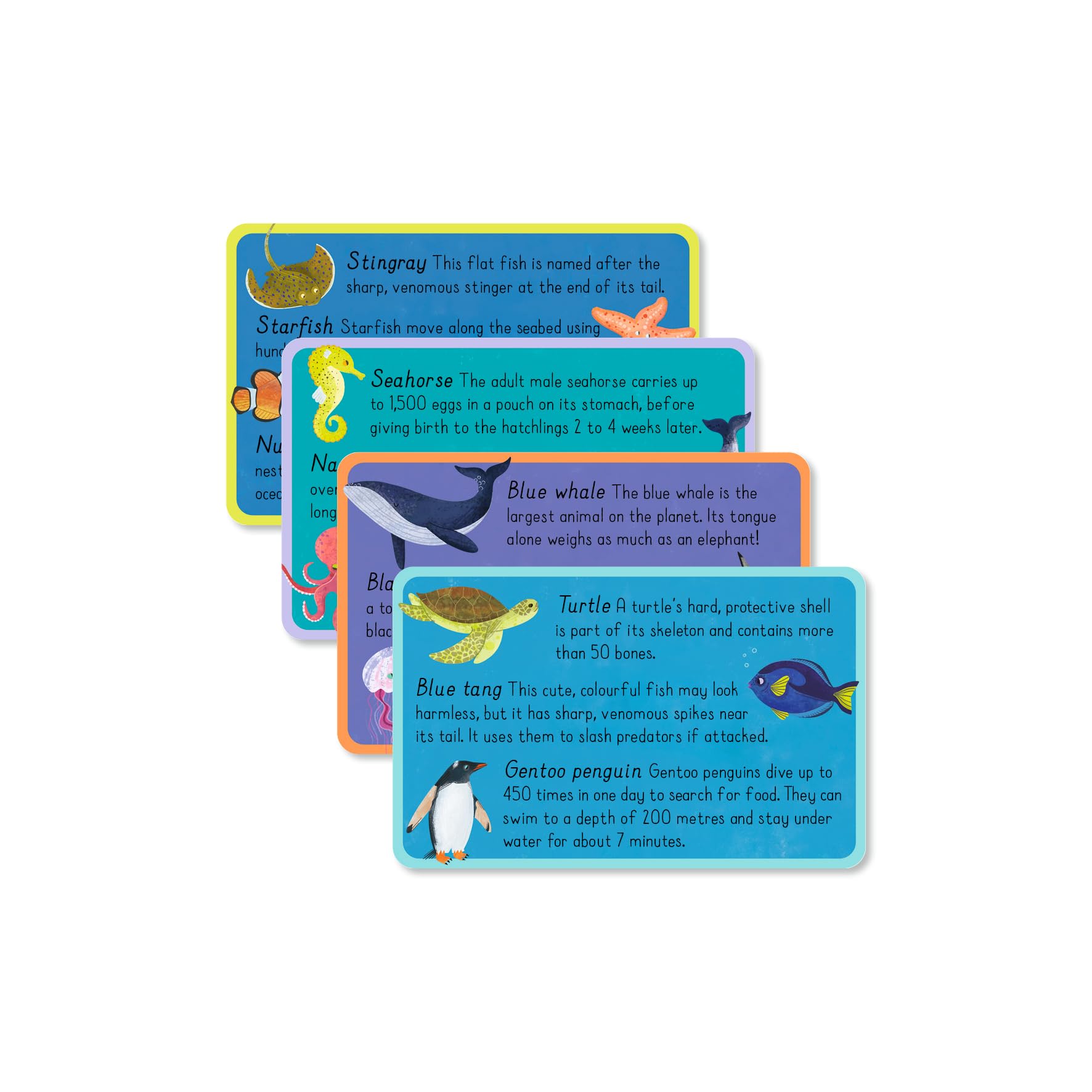 Ocean snap cards at Dingle Oceanworld aquarium gift shop