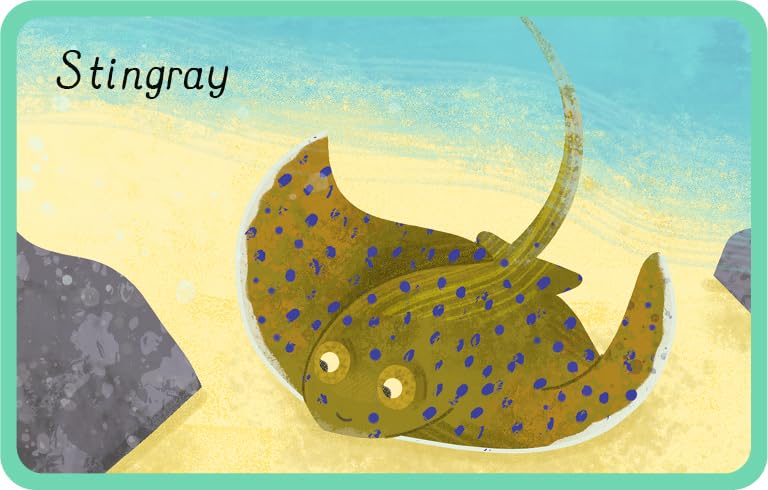 Ocean snap cards at Dingle Oceanworld aquarium gift shop