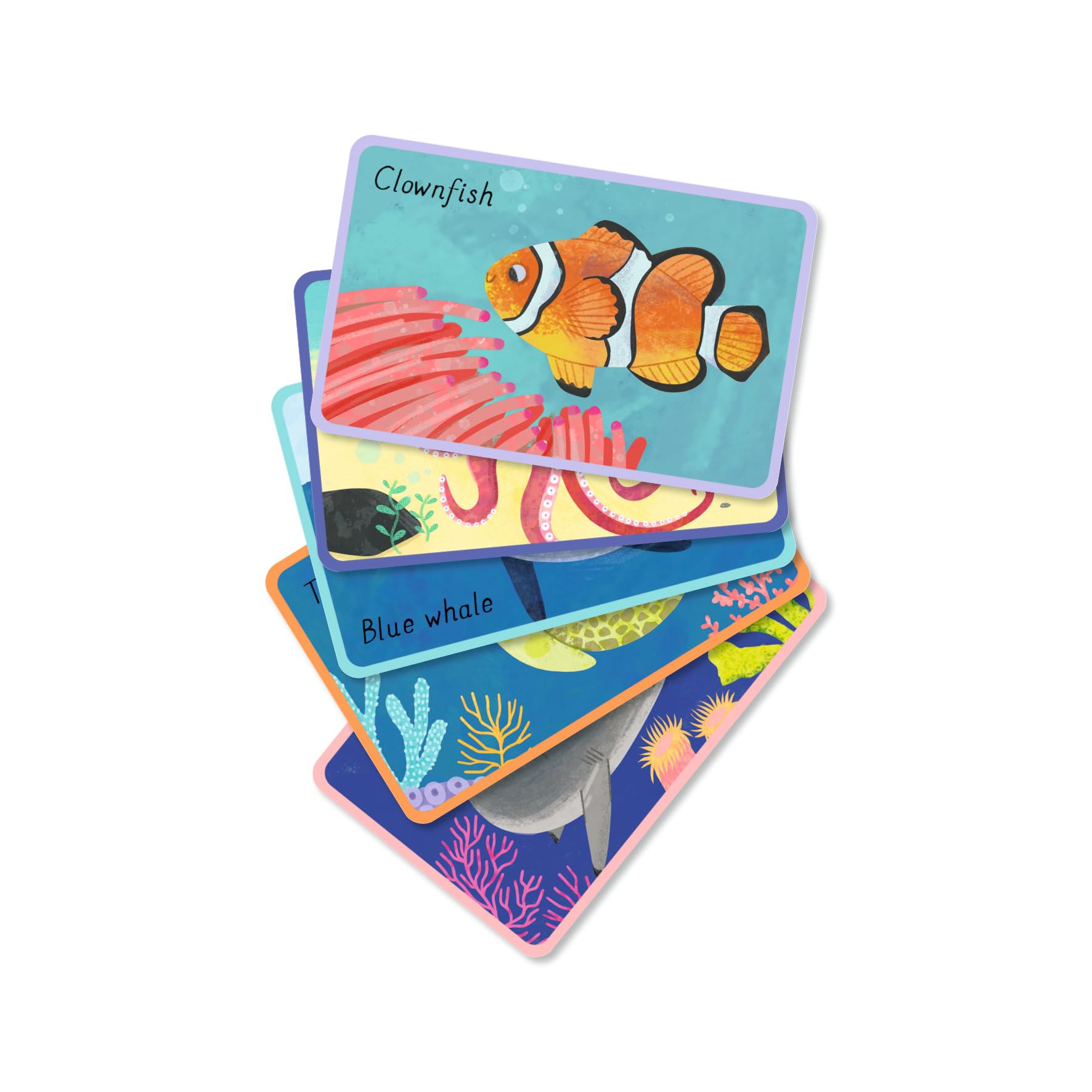 Ocean snap cards at Dingle Oceanworld aquarium gift shop
