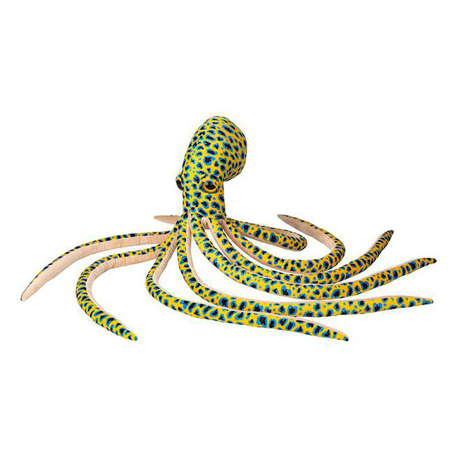 Splash Blue Ring Octopus at Dingle Oceanworld aquarium gift shop