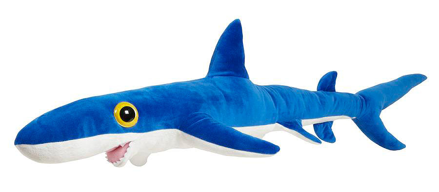 Splash Blue Shark at Dingle Oceanworld aquarium gift shop