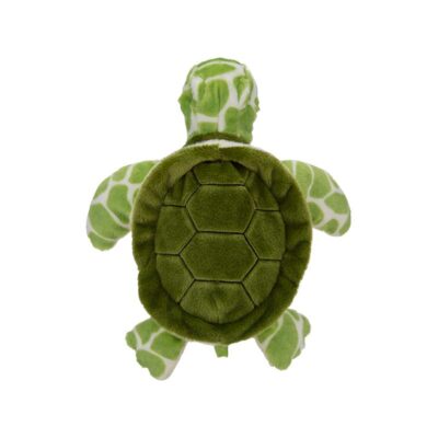 Re-pets turtle puppet at Dingle Oceanworld aquarium gift shop