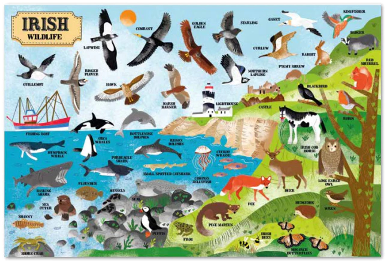 Irish wildlife jigsaw at Dingle Oceanworld aquarium gift shop