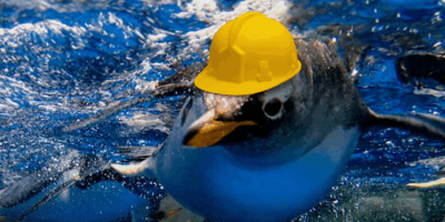 Renovation & Winter Hours Update