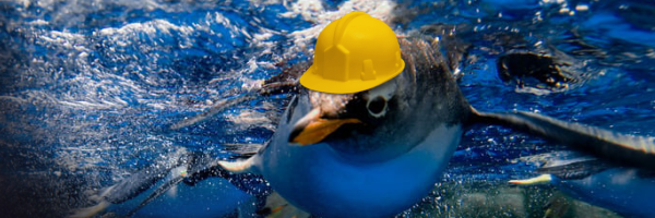 Renovation & Winter Hours Update