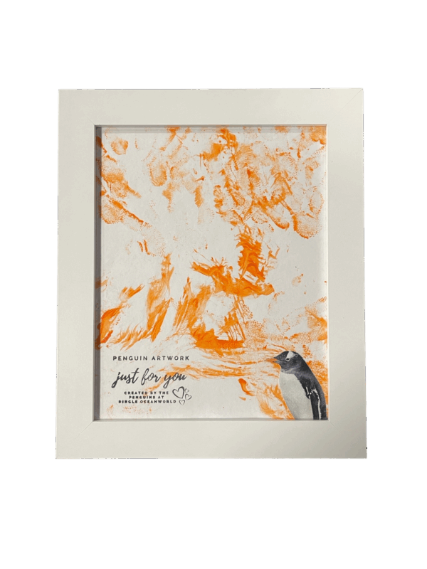 Penguin art made by penguins at Dingle Oceanworld Aquarium