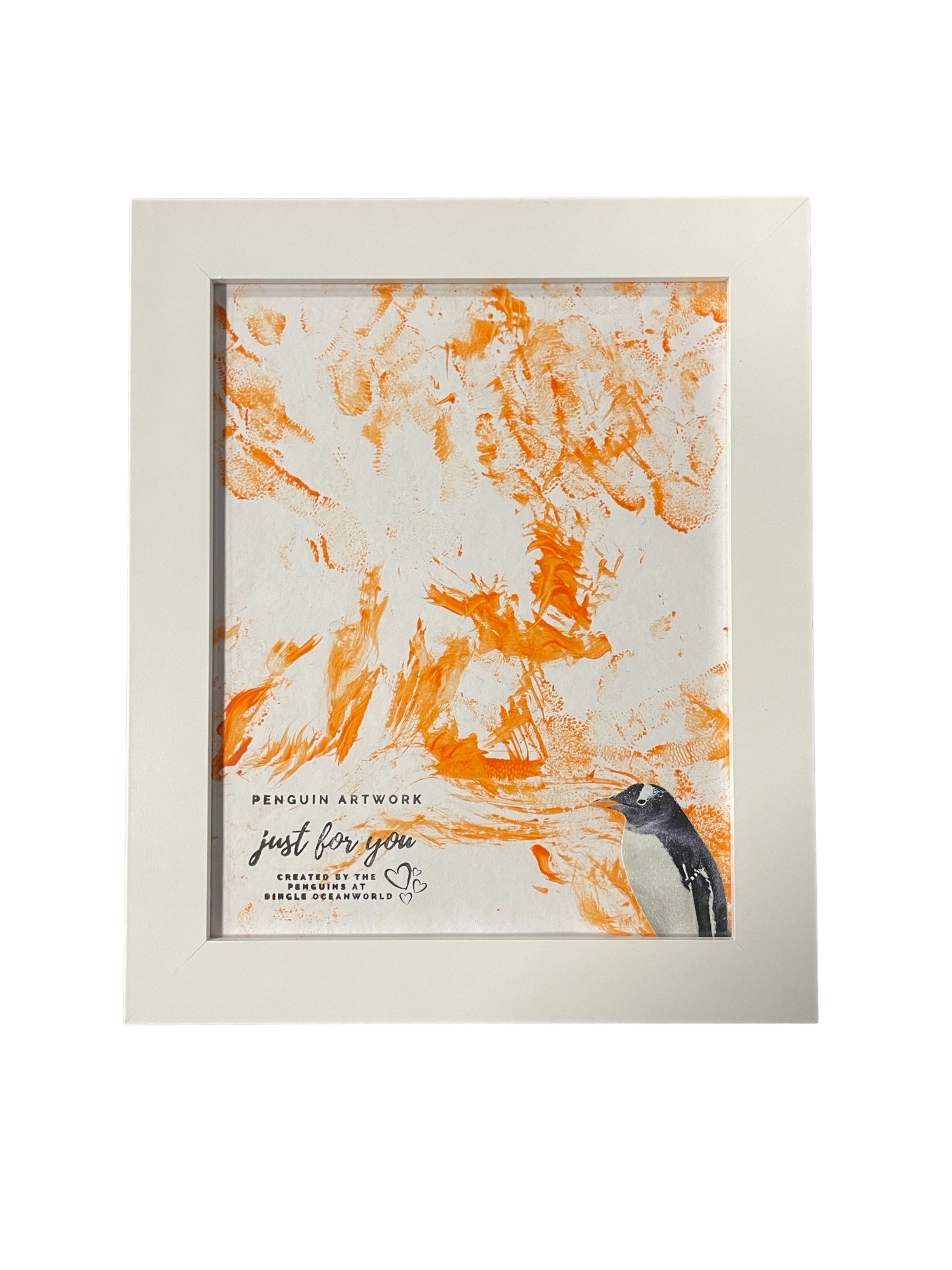 Penguin art made by penguins at Dingle Oceanworld Aquarium