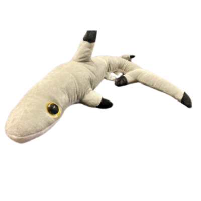Large Blacktip shark plush at Dingle Oceanworld aquarium gift shop