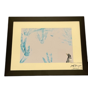 Penguin art made by penguins at Dingle Oceanworld Aquarium