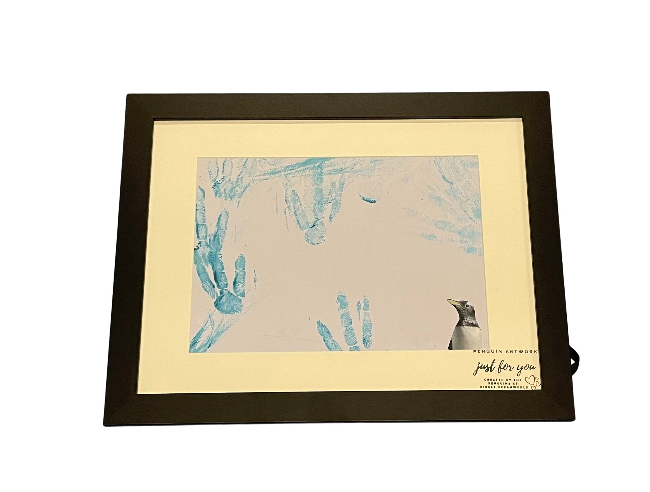 Penguin art made by penguins at Dingle Oceanworld Aquarium