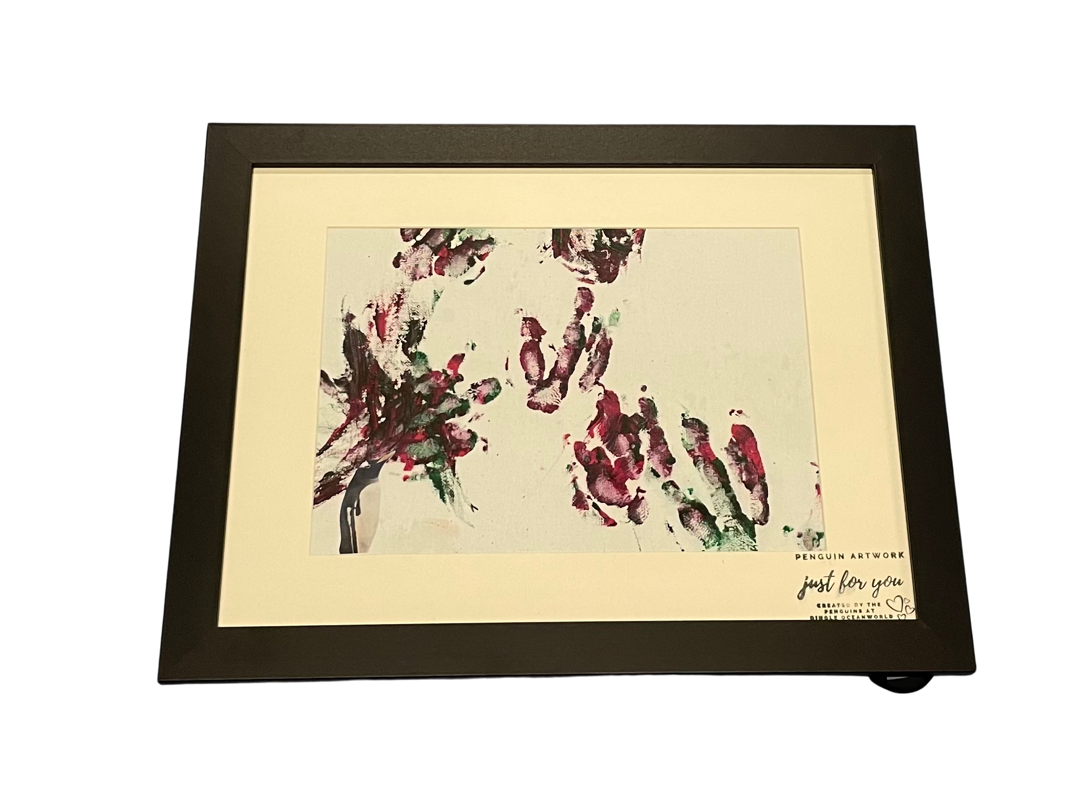 Penguin art made by penguins at Dingle Oceanworld Aquarium