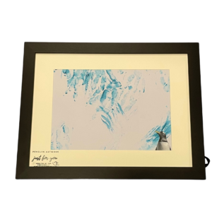 Penguin art made by penguins at Dingle Oceanworld Aquarium