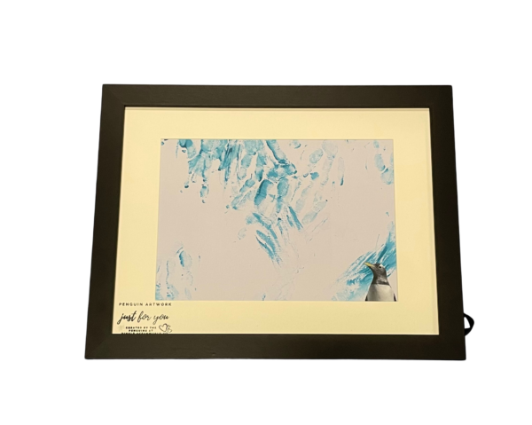 Penguin art made by penguins at Dingle Oceanworld Aquarium