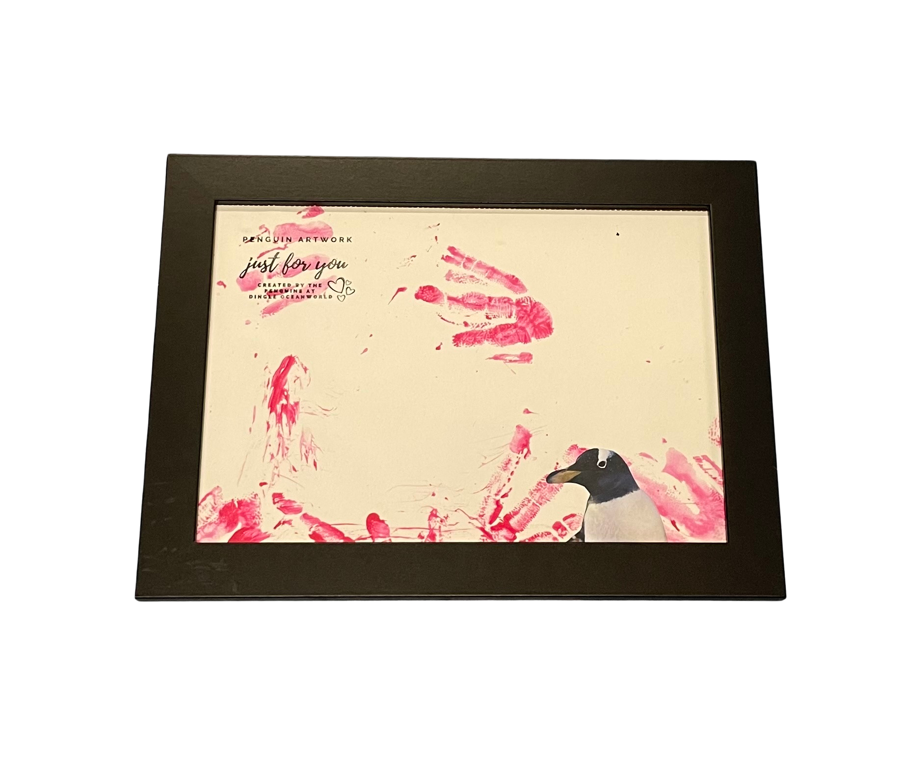 Penguin art made by penguins at Dingle Oceanworld Aquarium