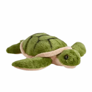 Green sea turtle plush stuffed toy at Dingle Aquarium gift shop