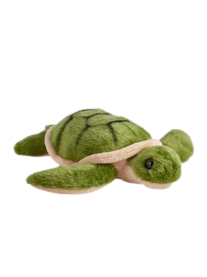 Green sea turtle plush stuffed toy at Dingle Aquarium gift shop