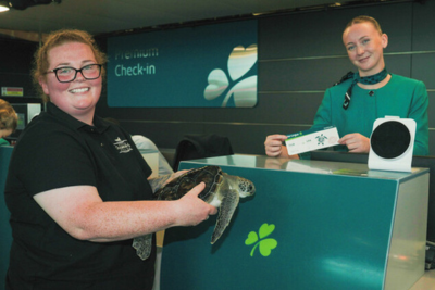 Green Sea Turtle Conservation: Solstice Returns to the Wild